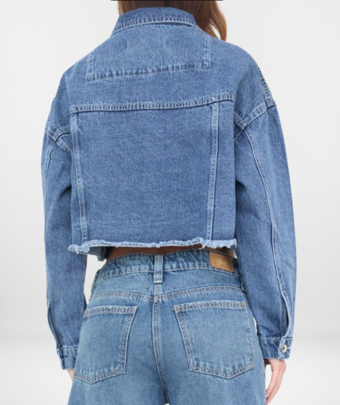 CHAQUETA CORTA RIGIDA STUDY